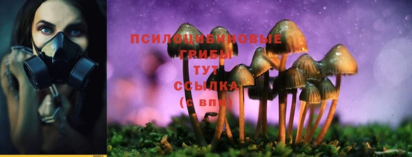 спиды Фёдоровский
