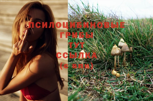 MDMA Premium VHQ Новосибирск