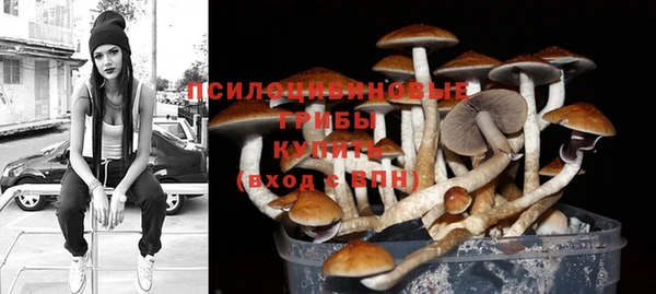 спиды Фёдоровский