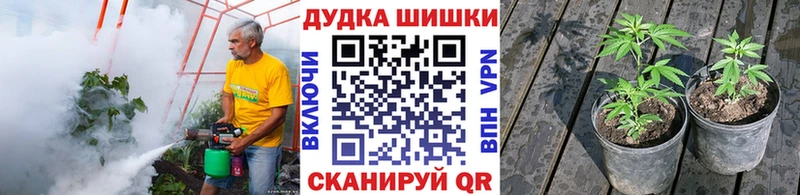 Купить закладки Полярные Зори Конопля планчик