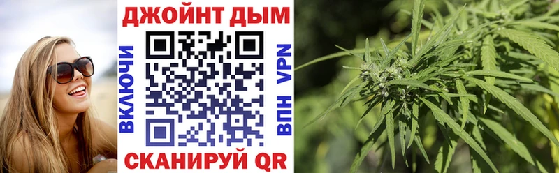 Шишки марихуана планчик Полярные Зори